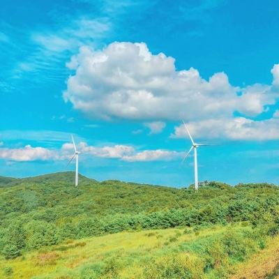 寻龙探墓官方手游下载